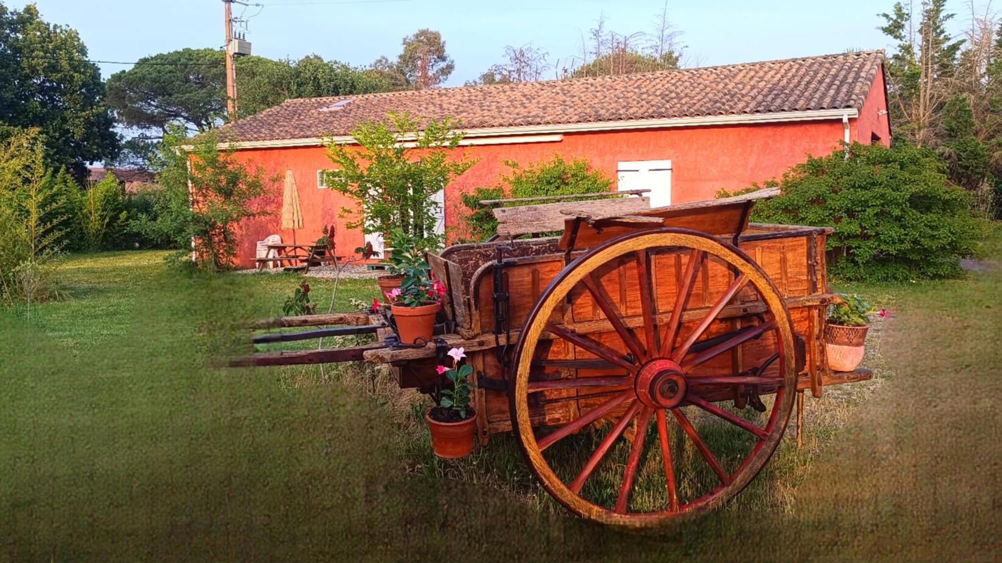 Datcha La Charrette Lavaur  Buitenkant foto